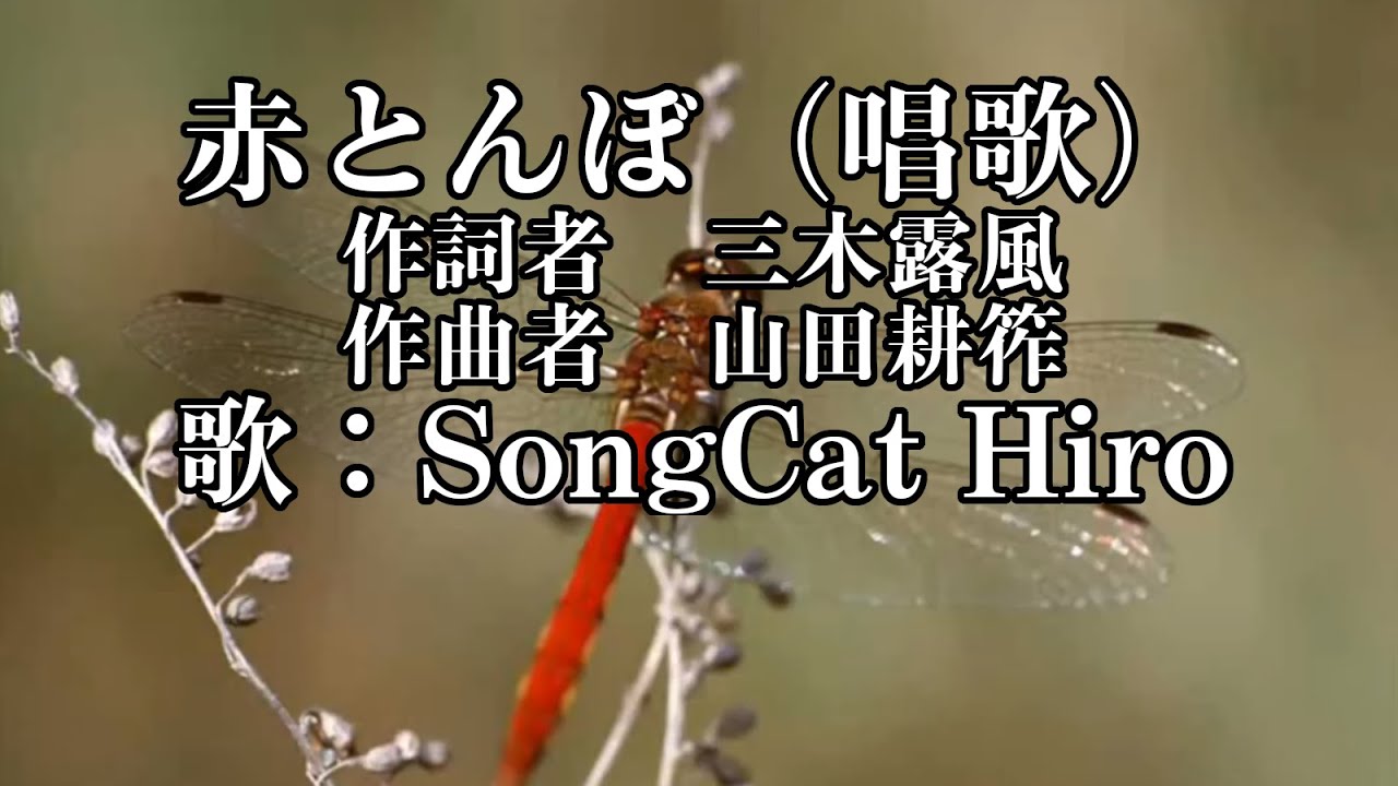 赤とんぼ』 (唱歌) 歌：SongCat Hiro カラオケ世界一 - YouTube