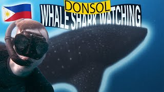 The BEST PLACE IN THE WORLD TO SEE WHALE SHARKS | Whale Shark watching in Donsol 🇵🇭