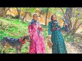 زن روستایی در حال شکار در کوهستان است زن روستایی در حال شکار در کوهستان است