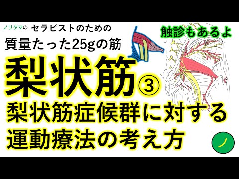 梨状筋症候群に対する運動療法の考え方