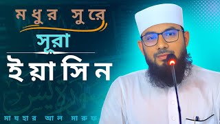 জান্নাতি সুরে || সুরা ইয়াসিন || Sura Al Yasen || মাজহার আল মারুফ ||  Mazhar Al Maruf By Baitullah M.