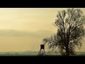 XMax Просто люби Speed Up 