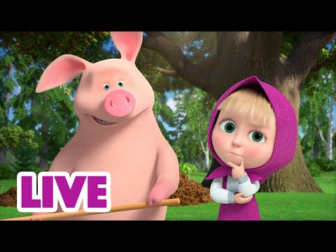🔴 ПРЯМОЙ ЭФИР! LIVE Маша и Медведь 👱‍♀️🐻 Машкина услуга 🤭🐷