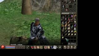 Metin2 apertura pesci (Finalongju2)