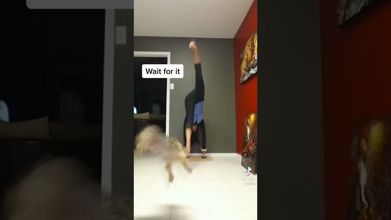 Girl Accidentally Kicks Dog While Doing Yoga