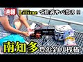 【豊浜釣り桟橋】サバ祭り開催中‼︎とにかく釣りたい人は絶対ココ【LiTimeリチウムイオンバッテリー】
