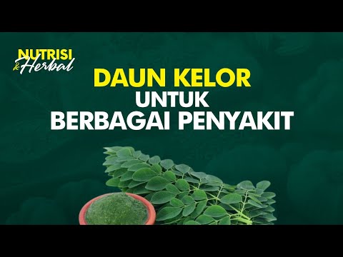 Video: 10 Suplemen Herbal Untuk Menyembuhkan & Memelihara Sendi Kaku & Rematik Anjing Anda