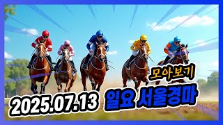 2025년 7월 13일 일요 서울경마 전체경주 모아보기