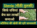 Stevia ki kheti kaise kare, स्टीविया/मीठी तुलसी की खेती की जानकारी, stevia farming, stevia plant