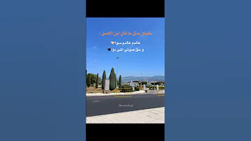 عالدم عالدم سوا اغنية الشامي بتهون ياقلوب حالات واتس اب ستوريات انستا 