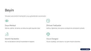 FEN BİLGİSİ PROJE ÖDEVİ  BEYİN &amp; OMURİLİK SOĞANI