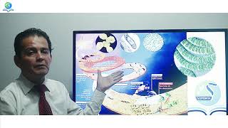 Resolución Del Examen De Admisión De San Marcos - Sopebiol