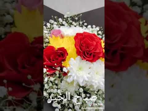 ورد صباح خير