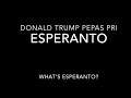 Who is Mark Esperanto really? Donald Trump tweet #Esperanto