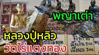 วัตถุมงคลเต่า หลวงปู่หลิว วัดไร่แตงทอง นครปฐม ชมถึงตู้วัดโดยตรง