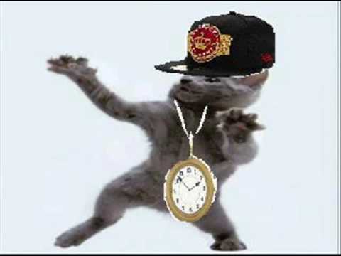 Crazy Dancing Rap Cat!