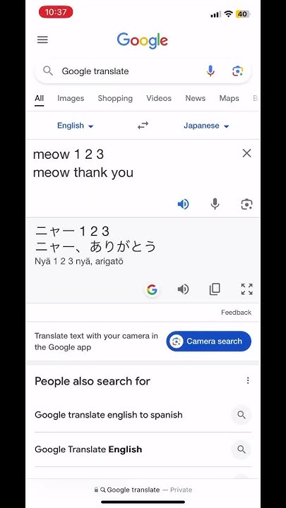 Meow 1 2 3 Meow Thank You In Japanese