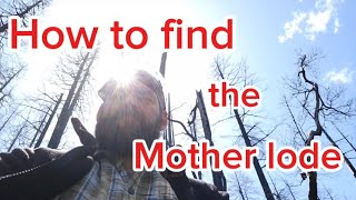 How to find the Mother lode