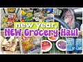 My First Weekly Grocery Haul of 2023!