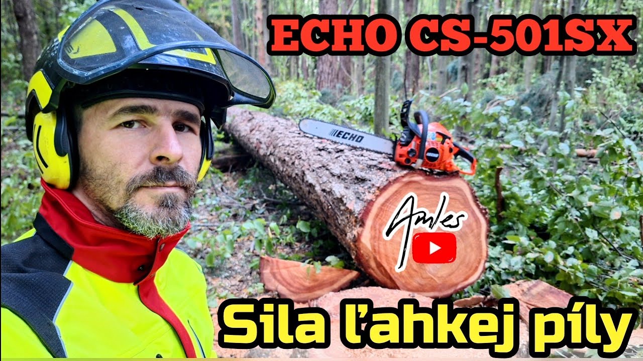Валка сосны лёгкой профессиональной пилой ECHO CS-501SX | Как справиться? | Amles  Лесные работы