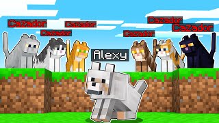 Minecraft: 6 Gatos VS Lobo 😰🔪  MINECRAFT CORREDOR vs CAZADORES - Alexy