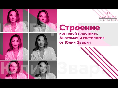 Строение ногтя ДОЛЖЕН ЗНАТЬ КАЖДЫЙ мастер маникюра! Анатомия и гистология. [Урок №2] от Сталекс