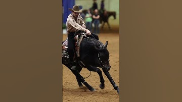 2024 NRBC Reining Horses Open Finals Qualifiers #horse #equestrian #yellowstone #reining