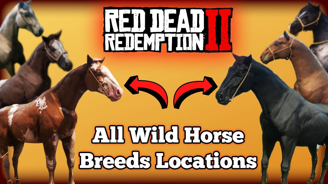 Red Redemption 2 Wild Horse Breeds Locations - RDR2.org