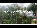 Garden view in rainy day || Maa Brundavanam