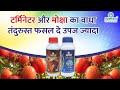 फसलों की सुरक्शा टर्मिनेटर और  मोक्ष से