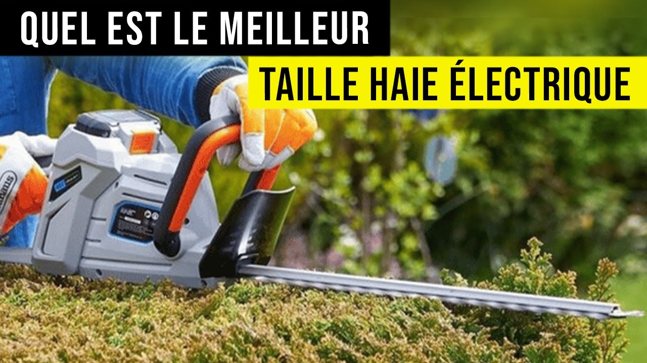 🥇 Le Meilleur Taille Haie Électrique Comparatif TOP 3 YouTube — free download