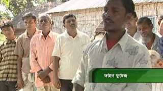 News report 06- State of agriculture in Bangladesh in forty years (68% irrigation coverage)