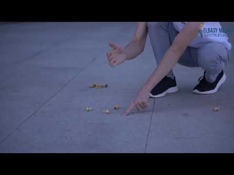 «Увлекательная игра Асыки в Казахстане: всё, что вам нужно знать»