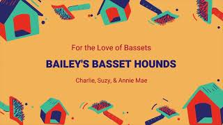 Bassets in Mt. Vernon, IL by Bailey's Basset Hounds 163 views 1 year ago 1 minute, 31 seconds