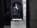 Queen’s Guard and His Loyal Horse 🐴❤️