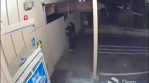 STOPPED by Deep Sentinel #39: Live Guards Preventing Break-Ins