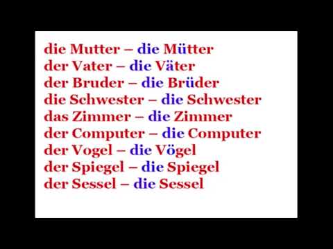 Немецкий с нуля Урок 9 Множественное число существительных