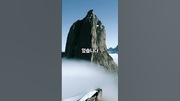 한국의 멸종위기 동물 5종 #shorts #동물 #멸종위기동물