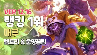 마오카이 1위 매루ㅣ버프 마오카이ㅣPatch 12 16ㅣ여진ㅣ