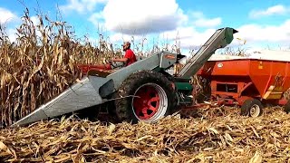 Last Day of Picking Corn! Harvest 2023!