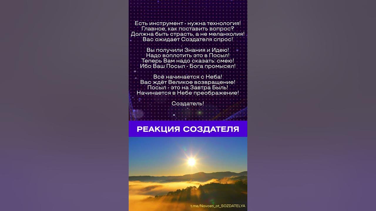 Новости от создателя реакция создателя на современность. Реакция создателя на современность за07.03.2025г..