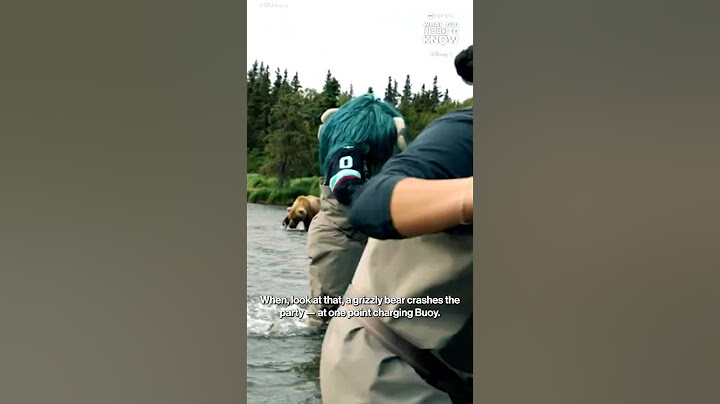 Seattle Kraken mascot has close call with grizzly bear