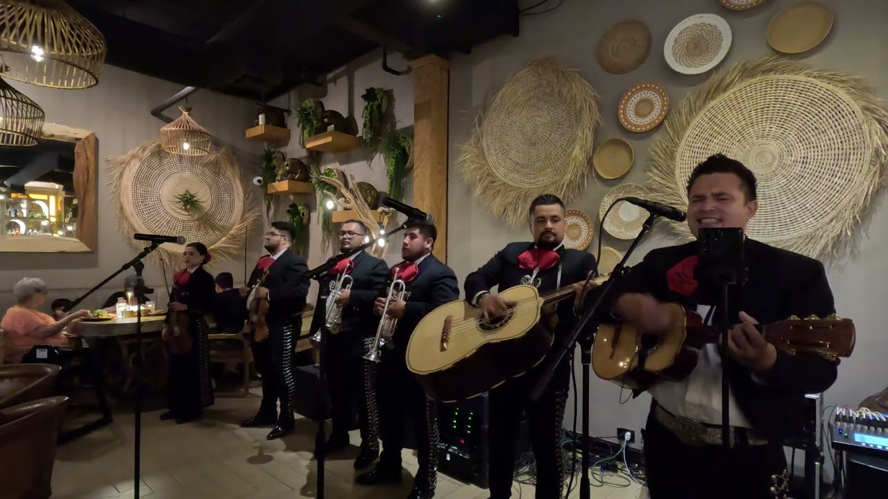 Mariachi Mi Ciudad - Perfidia