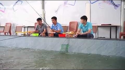 Khai trương Hồ Câu Tôm Quận 7, mô hình giải trí kết hợp ẩm thực độc lạ Sài Gòn