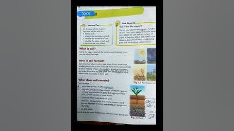 Class 3, science,ch 3,part 1 by seetha