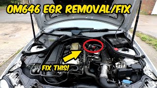 EGR VALVE FIX! How to remove and fix mercedes 220 cdi OM646 EGR valve - No more EML!