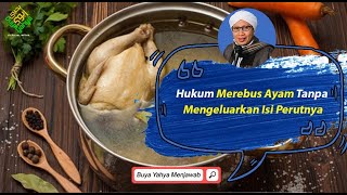 Cara menyembelih ayam cara islam. 