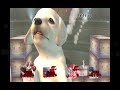 Super Smash Bros Brawl | Brawl Mode Pt 164