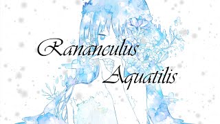 Ranunculus Aquatilis / Miya feat. 可不