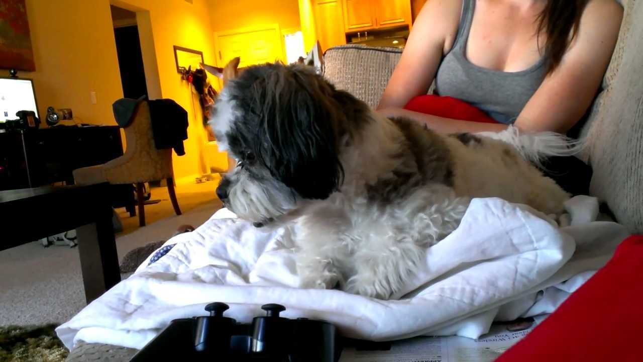 haha ne demek Skippy being a good big brother to little sister Sarah!